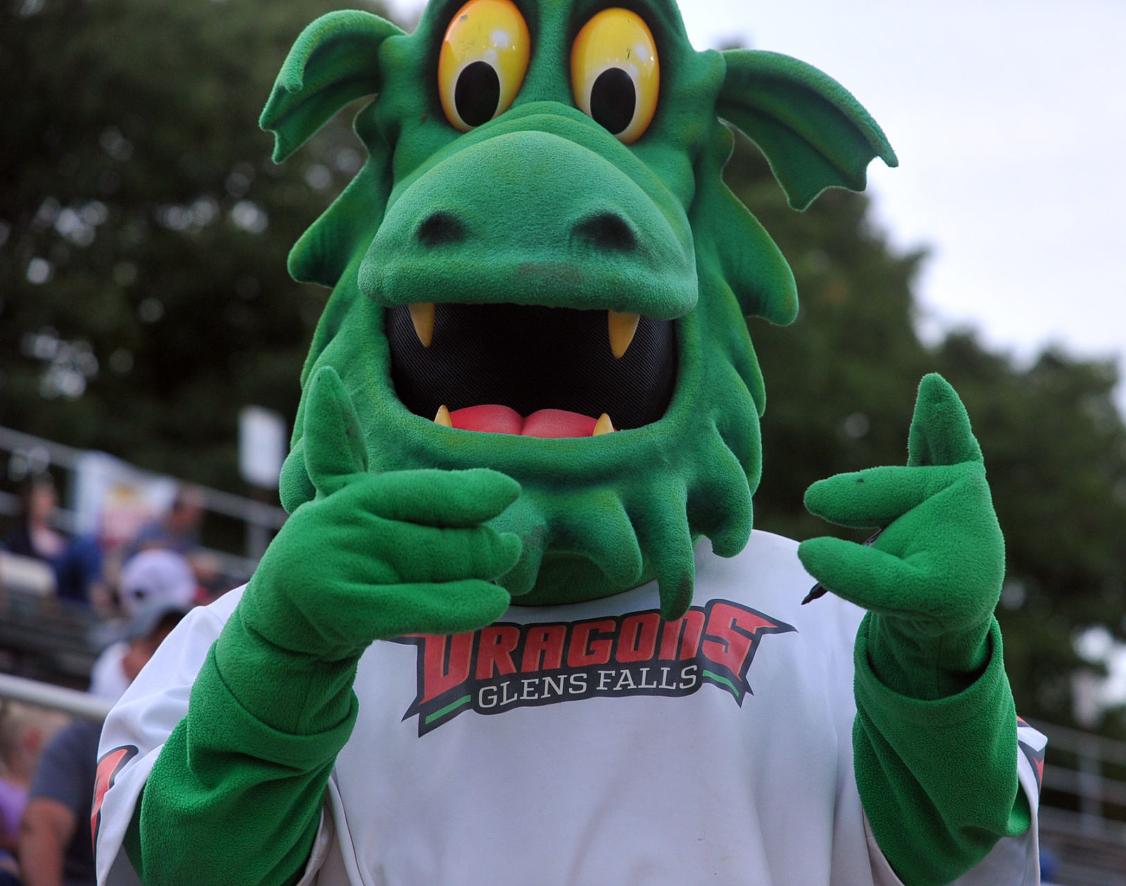 Albany at Glens Falls Dragons